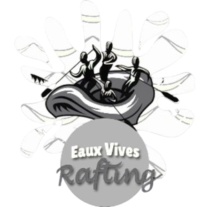 Logo 1 removebg preview(1)