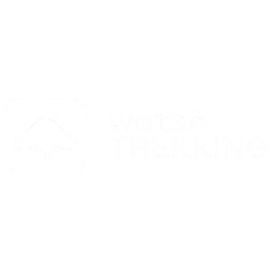 Logo 9 removebg preview